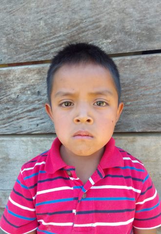 Apadrinar un niño
