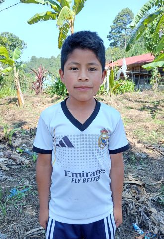 Apadrinar un niño