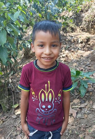 Apadrinar un niño