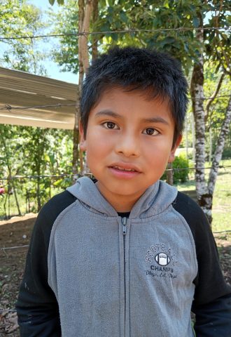Apadrinar un niño