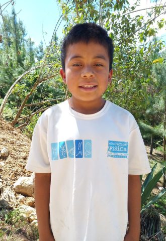 Apadrinar un niño