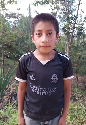 Apadrinar un niño